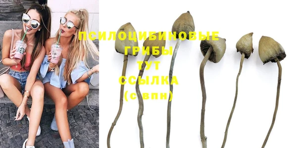 PSILOCYBIN Володарск