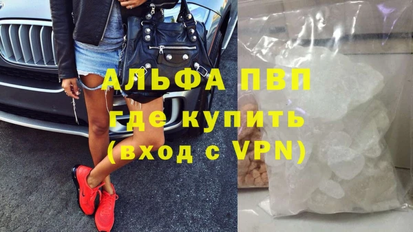 PSILOCYBIN Вязьма