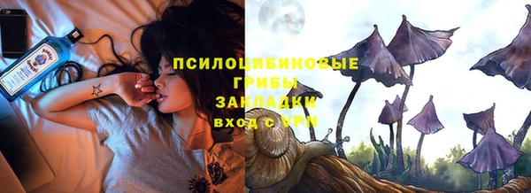 PSILOCYBIN Вязьма