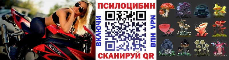 это официальный сайт  omg как войти  Калининск  как найти закладки  Псилоцибиновые грибы ЛСД 